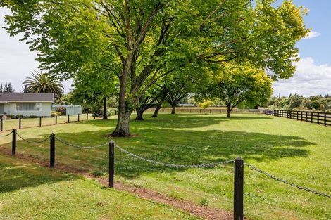 Photo of property in 125 Tutaki Road, Kelvin Grove, Palmerston North, 4470