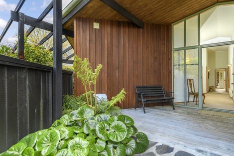 Photo of property in 19 Heron Avenue, Matua, Tauranga, 3110