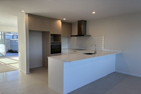 Photo of property in 101 Waituarua Drive, Takanini, Auckland, 2112