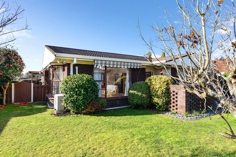 Photo of property in 16 Cattanach Street, St Andrews, Hamilton, 3200