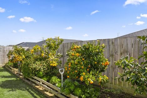 Photo of property in 79 Mclarin Road, Glenbrook, Waiuku, 2681