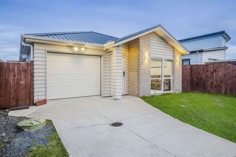 Photo of property in 12 Hard Beech Street, Takanini, 2110