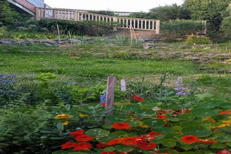 Photo of property in 54 Tomahawk Road, Andersons Bay, Dunedin, 9013