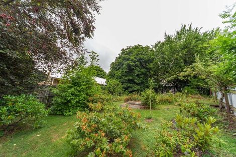 Photo of property in 24 Derwent Street, Naseby, 9396