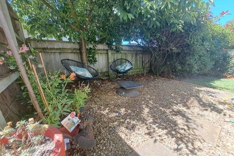 Photo of property in 509 Frederick Street, Mahora, Hastings, 4120