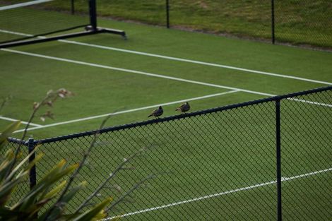 Photo of property in 75 Millar Road, Haumoana, Hastings, 4180