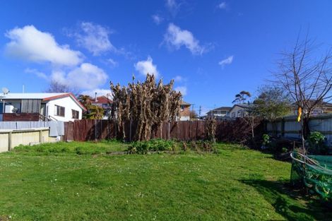 Photo of property in 24 Bellingham Crescent, Fordlands, Rotorua, 3015