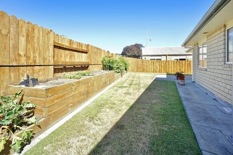 Photo of property in 10 Cannell Farm Drive, Te Puke, 3119