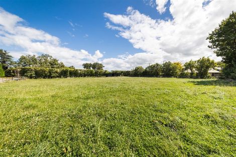 Photo of property in 125 Shirriffs Road, Awapuni, Palmerston North, 4412