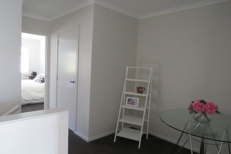 Photo of property in 20e Kelvin Place, Hamilton East, Hamilton, 3216