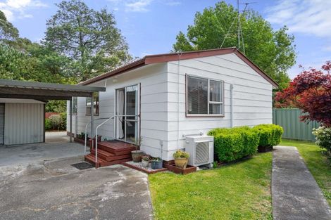 Photo of property in 90b Brandon Street, Featherston, 5710