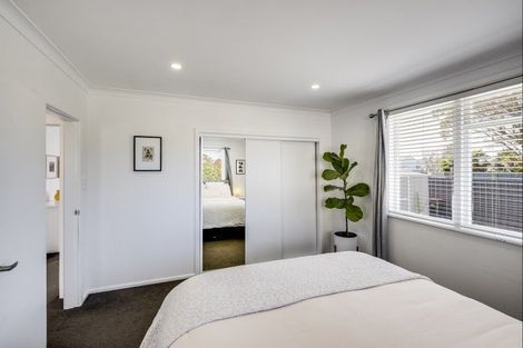 Photo of property in 49 Williams Street, Marewa, Napier, 4110