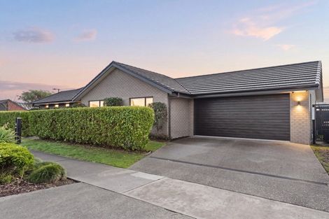 Photo of property in 24 Lulu Avenue, Chartwell, Hamilton, 3210