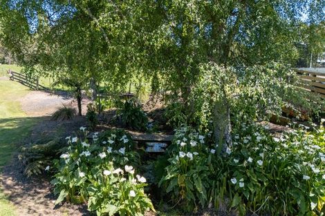 Photo of property in 995f Purangi Road, Cooks Beach, Whitianga, 3591
