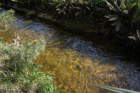 Photo of property in 21 Mcgilvray Road, Myross Bush, Invercargill, 9876