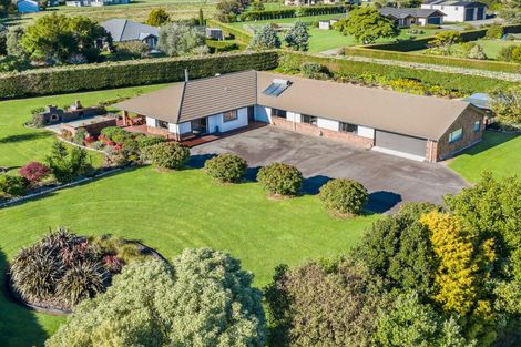 Photo of property in 47 Pohutukawa Drive, Levin, 5571
