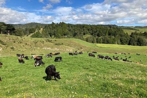 Photo of property in 755 Limeworks Loop Road, Karamu, Hamilton, 3285