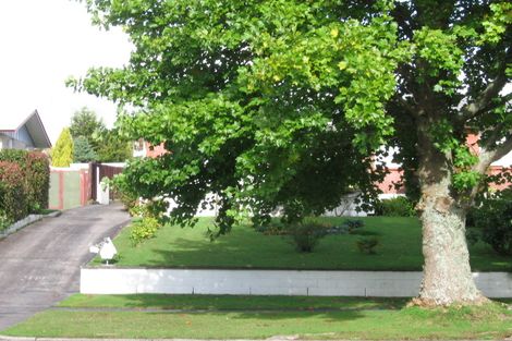 Photo of property in 223 West Parkdale Street, Tokoroa, 3420