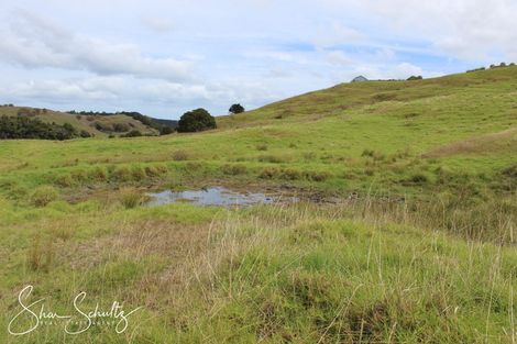 Photo of property in 215c Heatley Road, Whakapirau, 0583