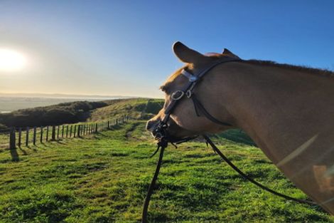 Photo of property in 149b Torehape Road, Kaihere, Ngatea, 3597