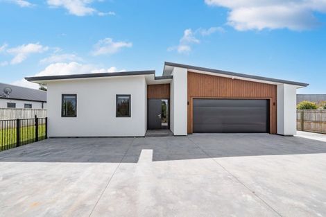 Photo of property in 50 Gimson Street, Solway, Masterton, 5810
