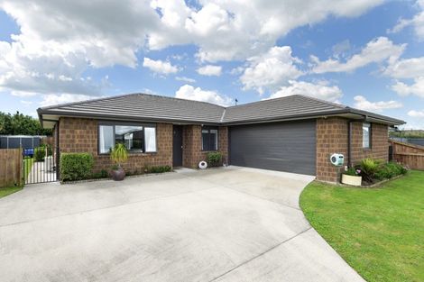 Photo of property in 24 Pharo Place, Ngaruawahia, 3720