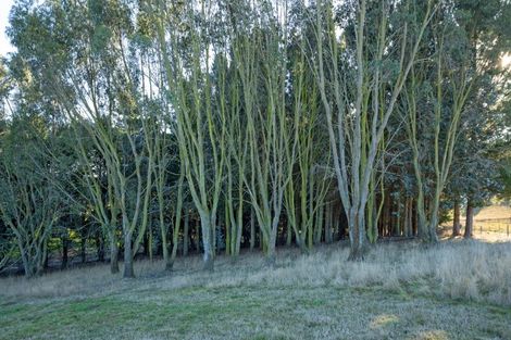 Photo of property in 38 Daniels Road, Normanby, Timaru, 7971