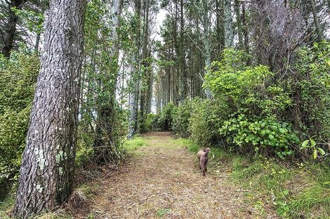 Photo of property in 325 Kaipi Road, Hillsborough, New Plymouth, 4372