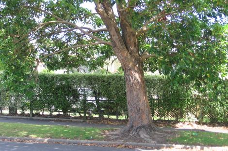 Photo of property in 73 Terry Street, Blockhouse Bay, Auckland, 0600