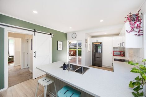 Photo of property in 15 Colombo Street, Hokowhitu, Palmerston North, 4410