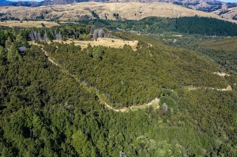 Photo of property in 253 Mount Lyford Forest Drive, Lyford, Waiau, 7395
