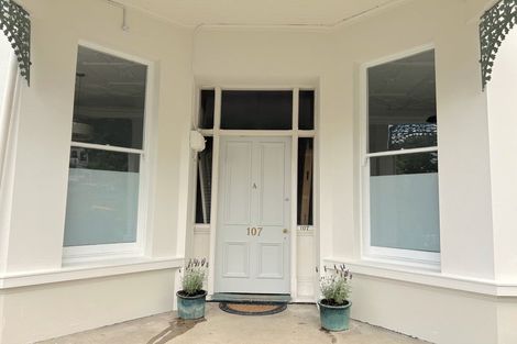 Photo of property in 107 Stafford Street, Dunedin Central, Dunedin, 9016