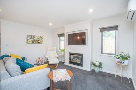 Photo of property in 33b Windsor Street, Terrace End, Palmerston North, 4410