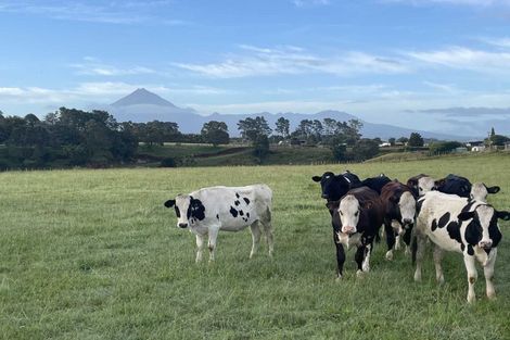 Photo of property in 187 Smart Road, Hillsborough, New Plymouth, 4372