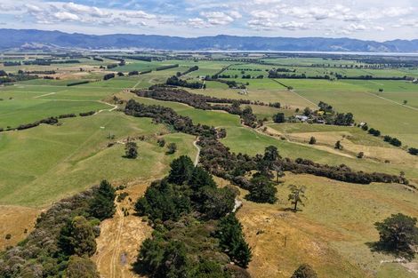 Photo of property in 1937 Lake Ferry Road, Pirinoa, Featherston, 5772