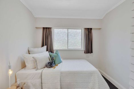 Photo of property in 38 Miro Street, Takaro, Palmerston North, 4410