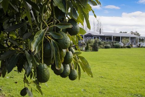 Photo of property in 55a Pukakura Road, Katikati, 3178