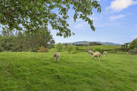 Photo of property in 70 Kaimango Road, Hauturu, Te Awamutu, 3878
