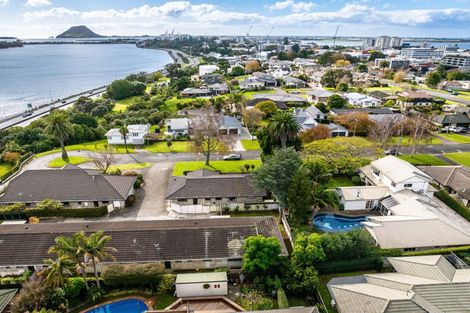 Photo of property in 86b Seventh Avenue, Tauranga, 3110