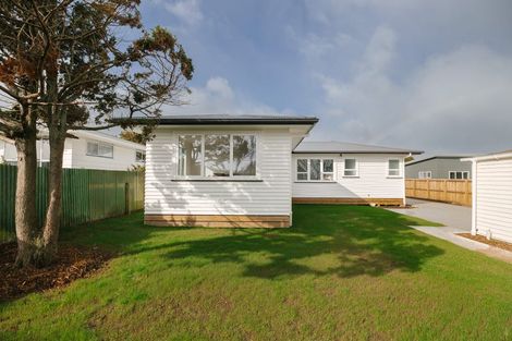 Photo of property in 6 Rodney Street, Levin, 5510