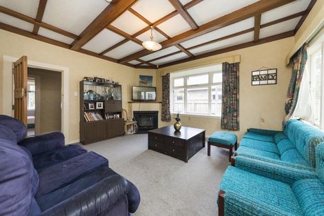 Photo of property in 38 Shamrock Street, Takaro, Palmerston North, 4412