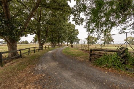 Photo of property in 308 Mill Road, Ohaupo, 3881