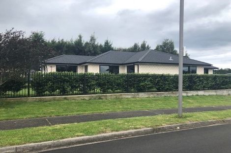 Photo of property in 2 Hoggard Street, Vogeltown, Wellington, 6021