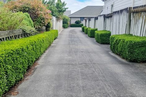 Photo of property in 47 Limbrick Street, Terrace End, Palmerston North, 4410