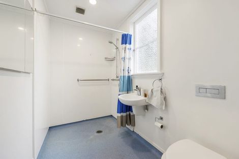 Photo of property in 55 Apuka Street, Brooklyn, Wellington, 6021