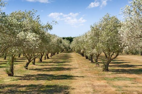 Photo of property in 399a Lake Ferry Road, Dyerville, Martinborough, 5781