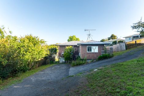 Photo of property in 46 Parrs Cross Road, Henderson, Auckland, 0612