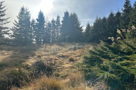 Photo of property in 1 Mount Lyford Avenue, Lyford, Waiau, 7395