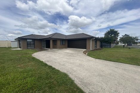 Photo of property in 9 Astor Avenue, Dinsdale, Hamilton, 3204