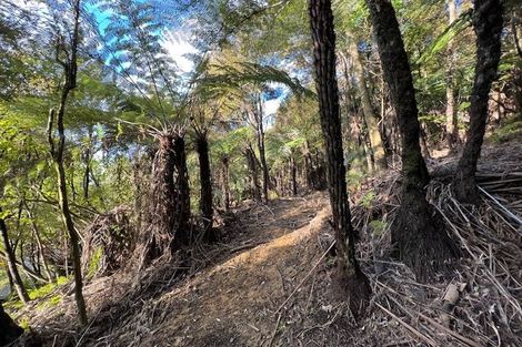 Photo of property in 211 Krippner Road, Puhoi, Warkworth, 0994